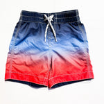 Gap Shorts 2T|149908
