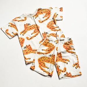 Zara Set 5Y|225656