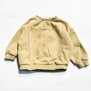 Zara Sweatshirt 9-12M|120005