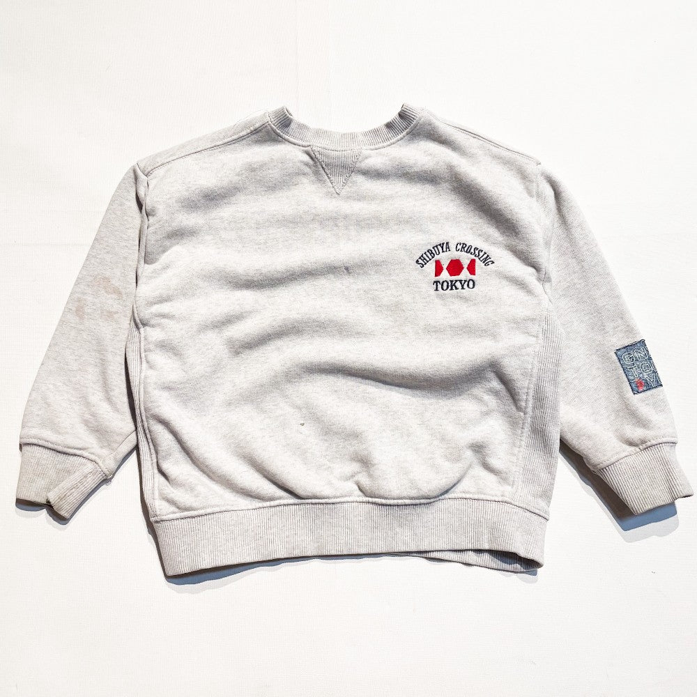 Zara Sweatshirt 6-7Y **Imperfection|173793