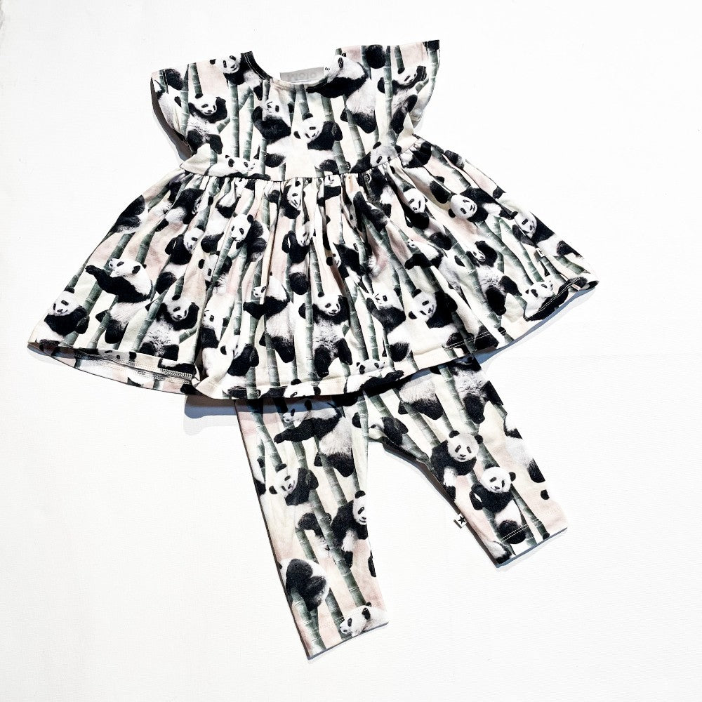 Molo Set 6M|129774