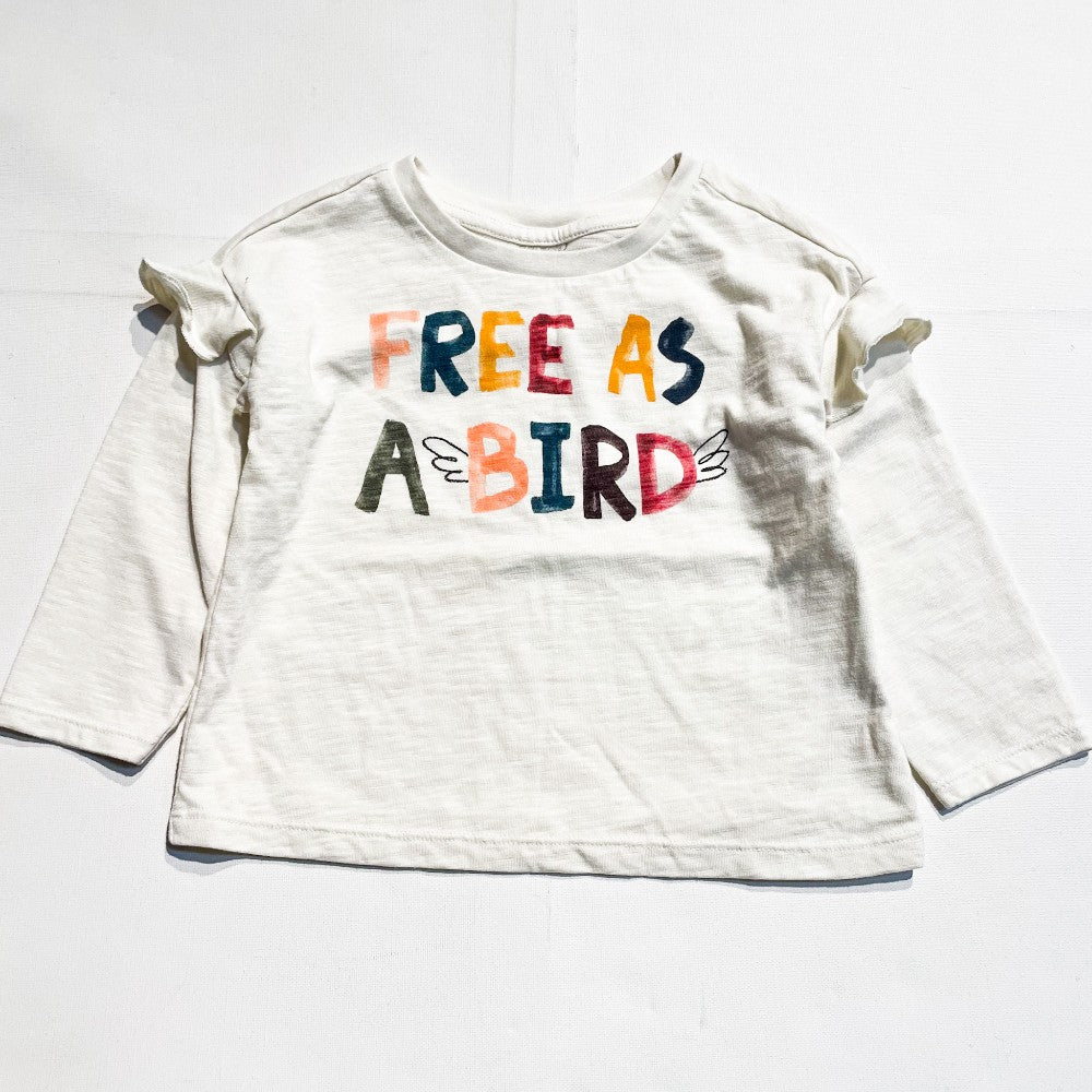 Gymboree Shirt 2Y|171116