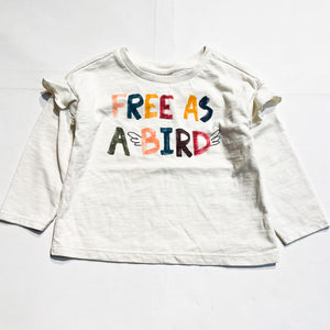 Gymboree Shirt 2Y|171116