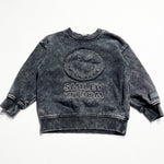 H&M Sweatshirt 2-4Y|229968