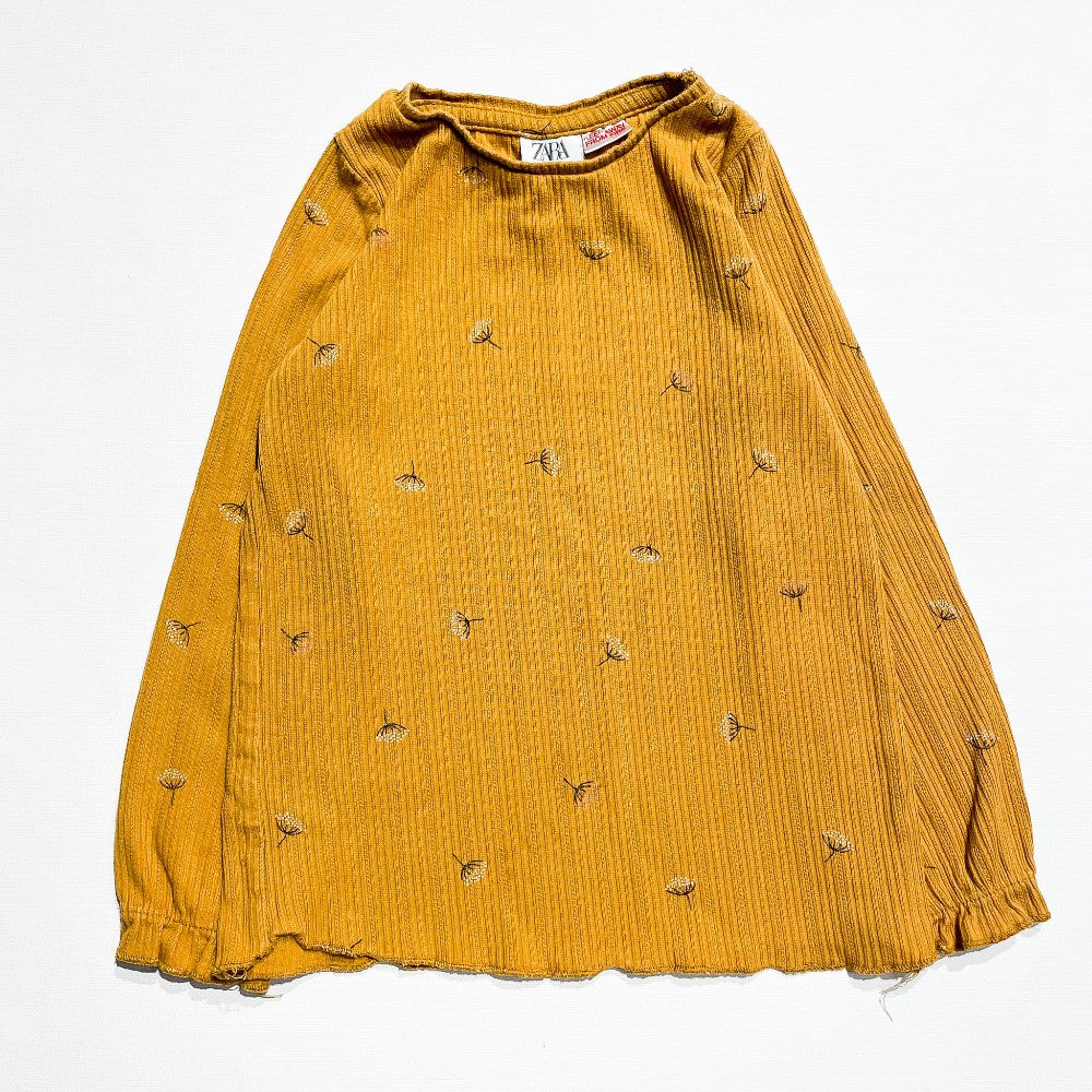 Zara Shirt 4-5Y|212518