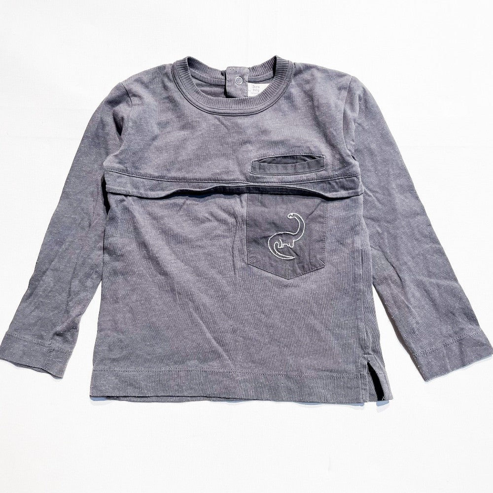 Zara Shirt 2-3Y|138772