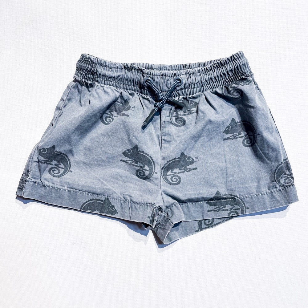 Zara Shorts 12-24M|118831