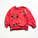 Zara Sweatshirt 4Y **Imperfection|189668