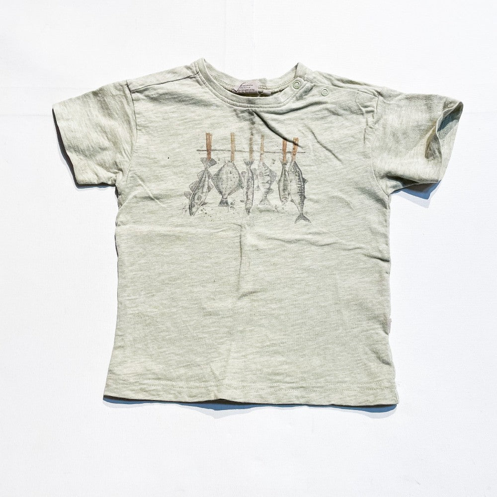Wheat Top 2Y|170012