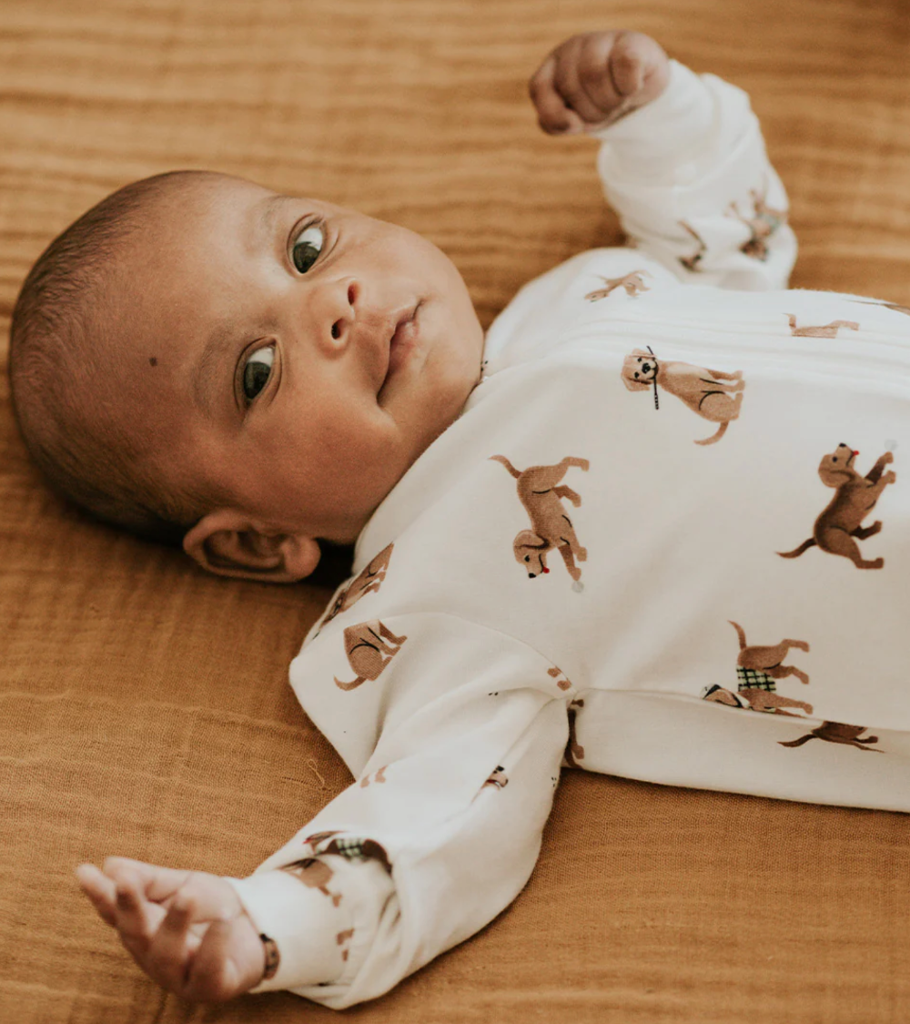 Petit Lem - Sleeper - Golfing Pups|187154