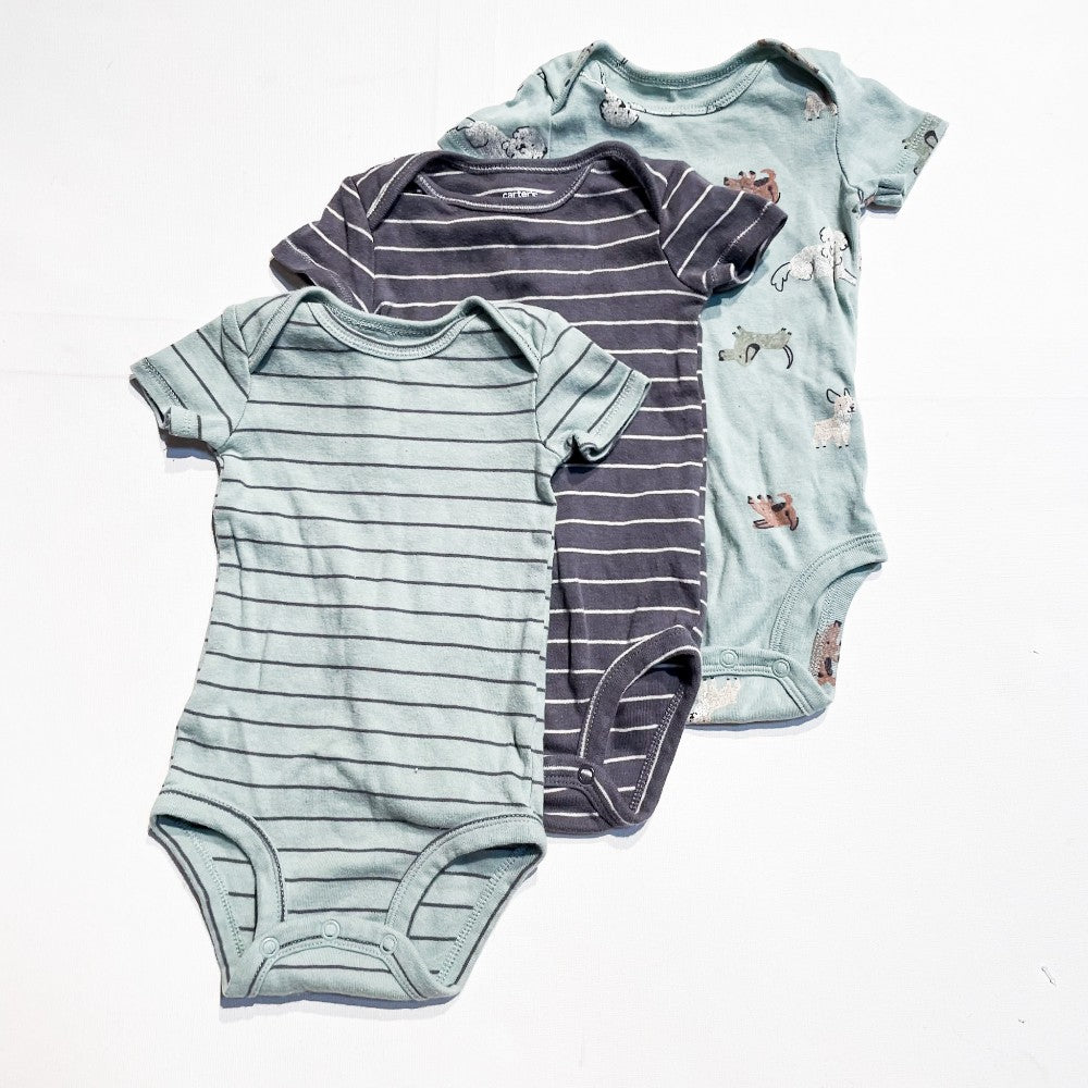 Carters Onesie Set 6M|159285