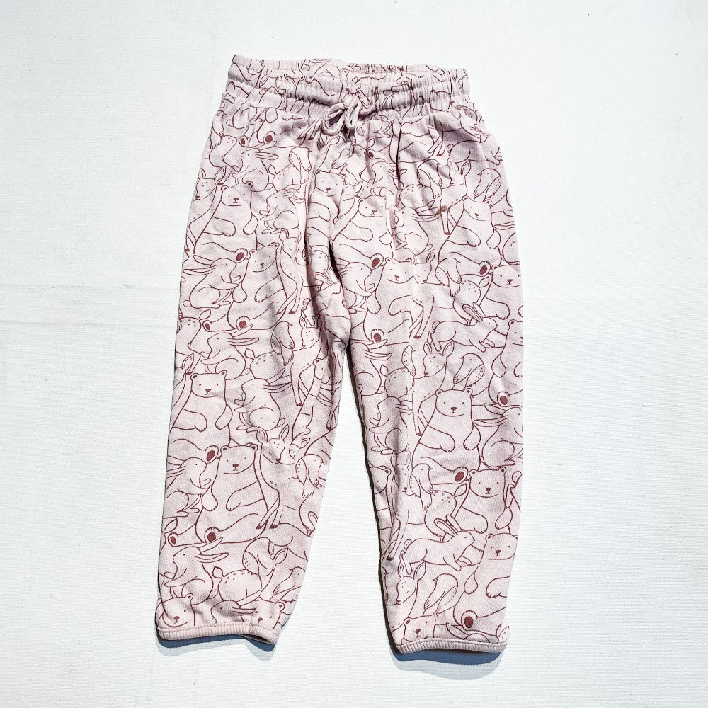 H&M Pants 2-3Y **Imperfection|161604