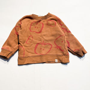 Zara Sweatshirt 2-3Y|145460