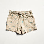 Carter's Shorts 2T|225865