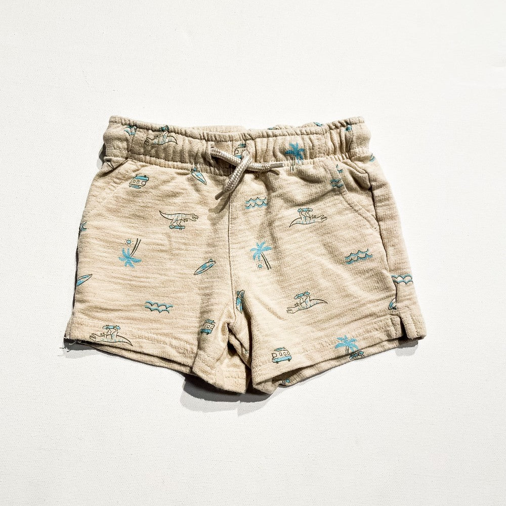Carter's Shorts 2T|225865