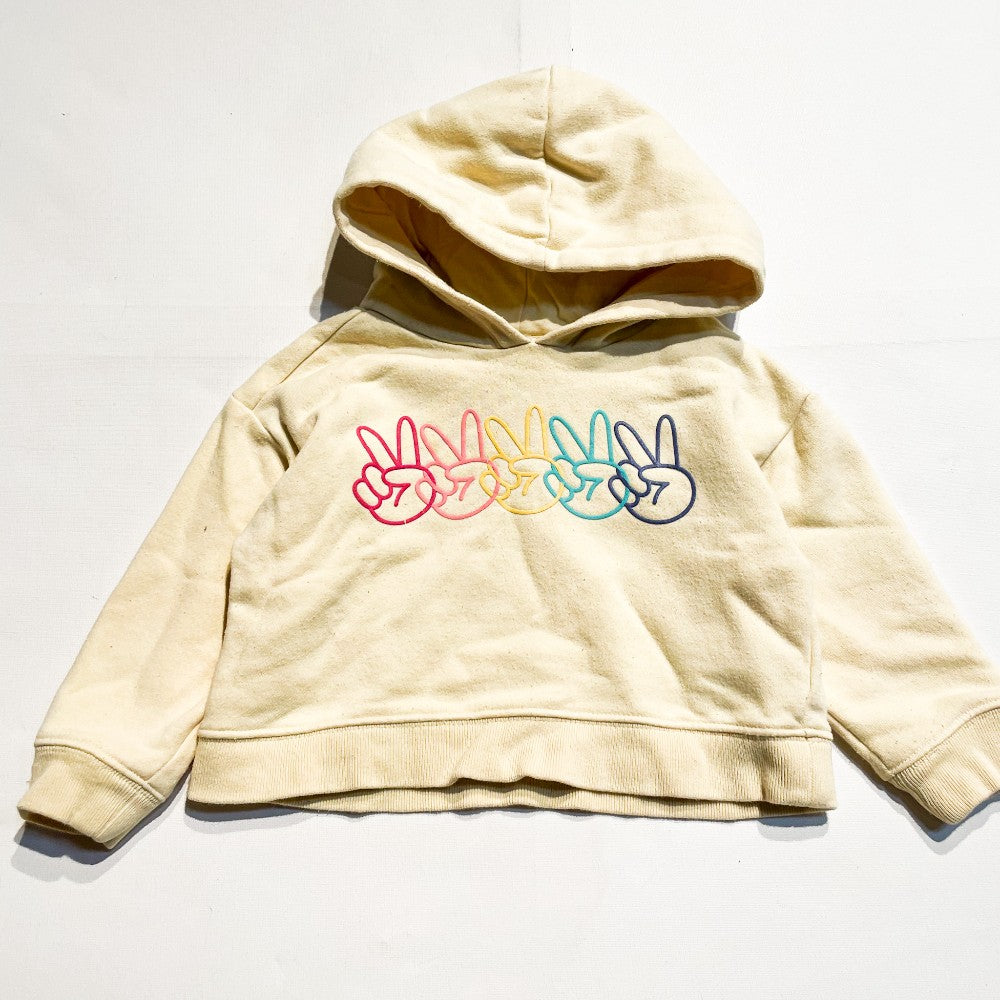 Gap Hoodie 2Y|162104