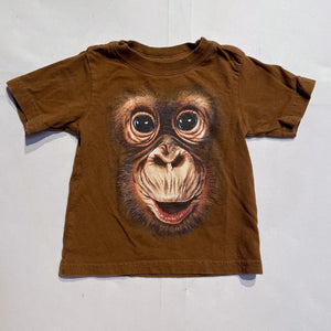 Shirt 12-18M|141805