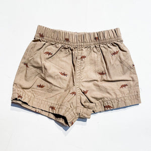 Carters Shorts 0-3M|123377