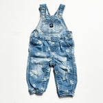 OshKosh OVeralls 9M|220581
