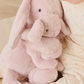 Plush - Frankie the Hugging Bunny - Blossom|153212