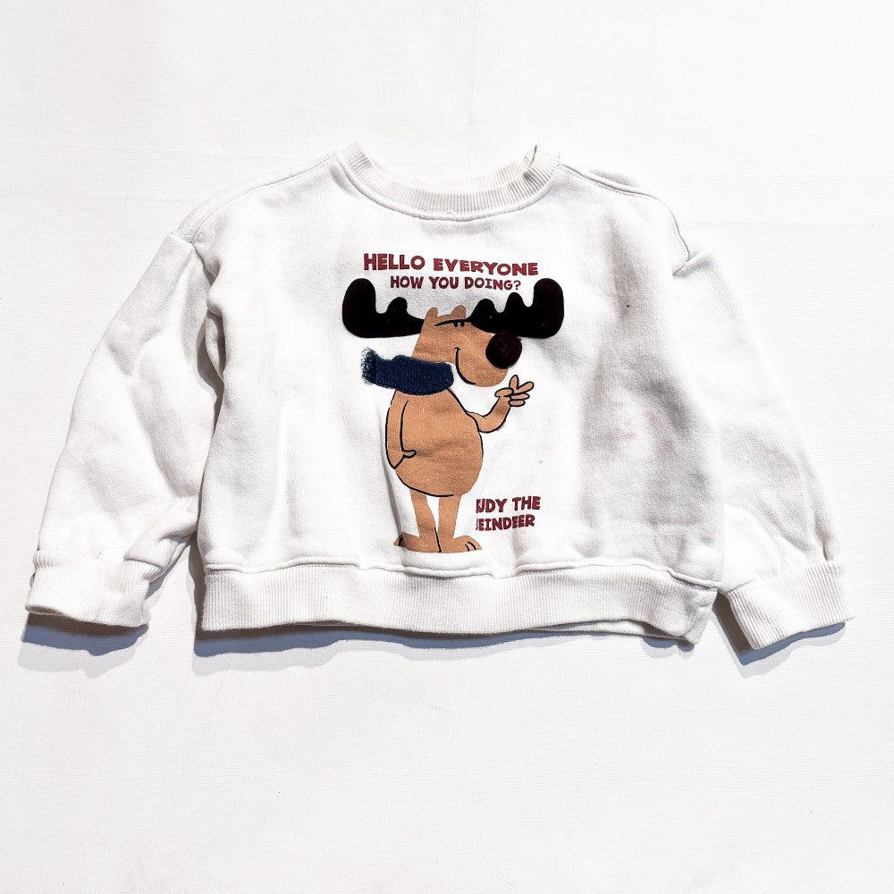 Zara Sweatshirt 2-3Y **Imperfection|121029