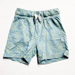 Joe Shorts 3M|228408