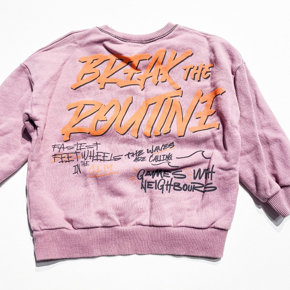 Zara Sweatshirt 2-3Y|214637