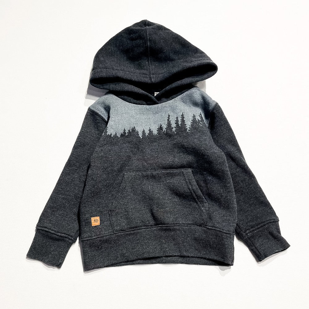 Tentree Hoodie 12-18M|227979