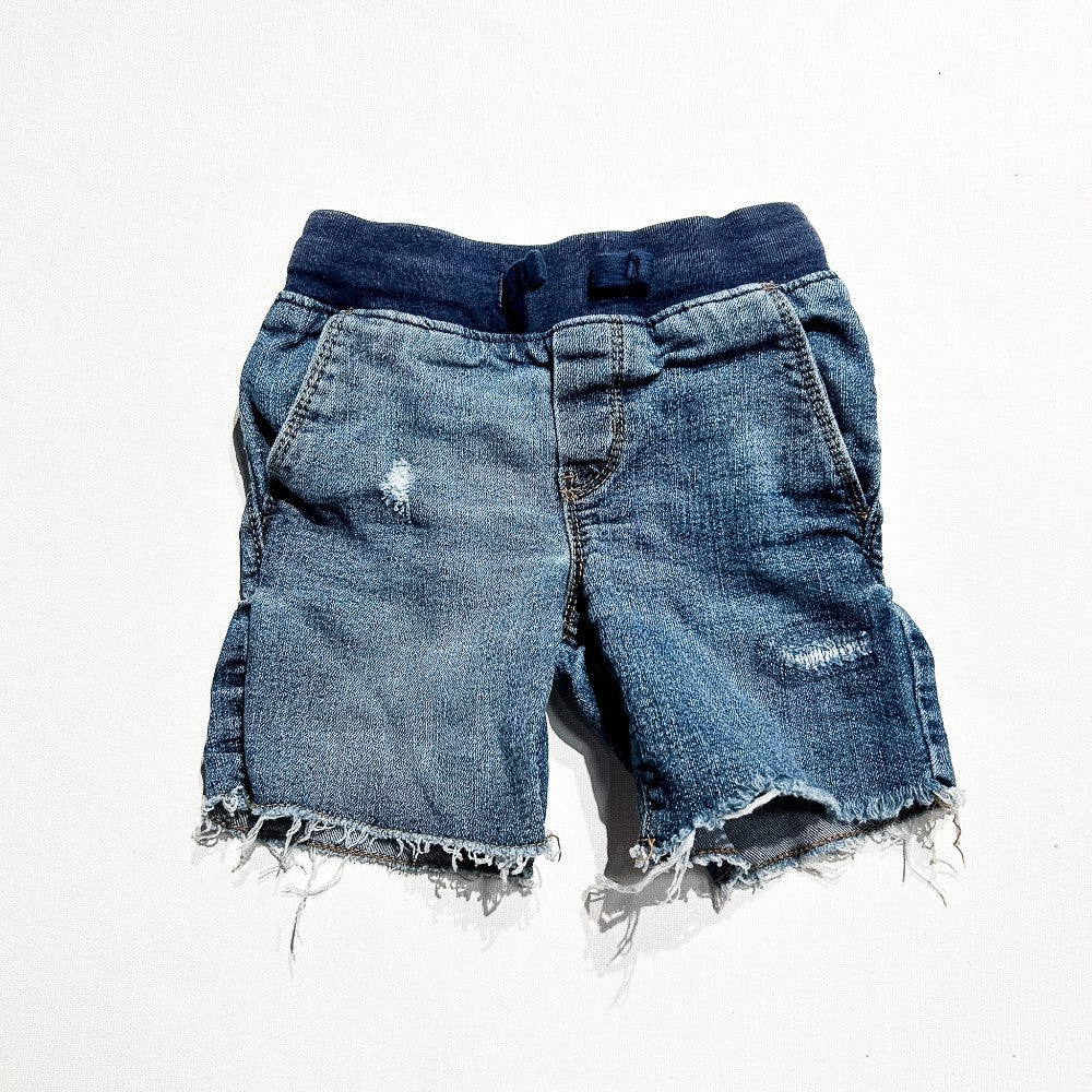 OshKOsh Shorts 2T|209871