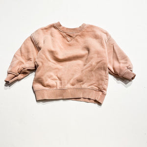 Zara Sweatshirt 3-6M|227768