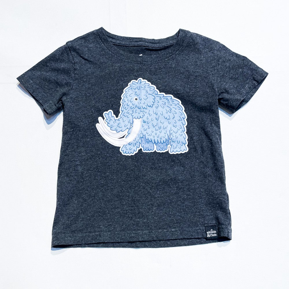 Whistle & Flute Top 5/6Y|166552