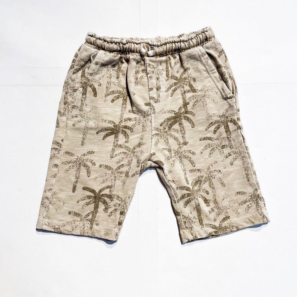 Zara Shorts 2-3Y|180662
