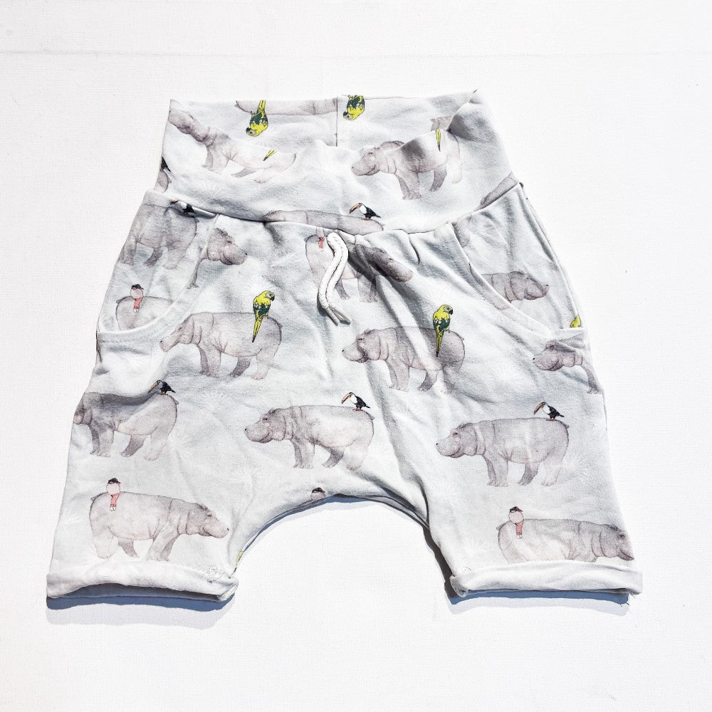 Shorts 1-3Y|153915