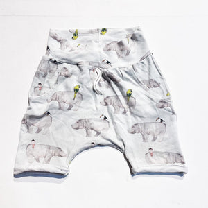 Shorts 1-3Y|153915