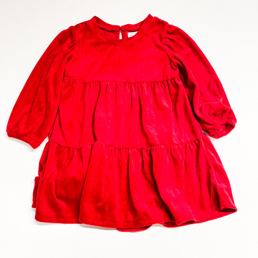 Little Earthling Dress 12-18M|234516