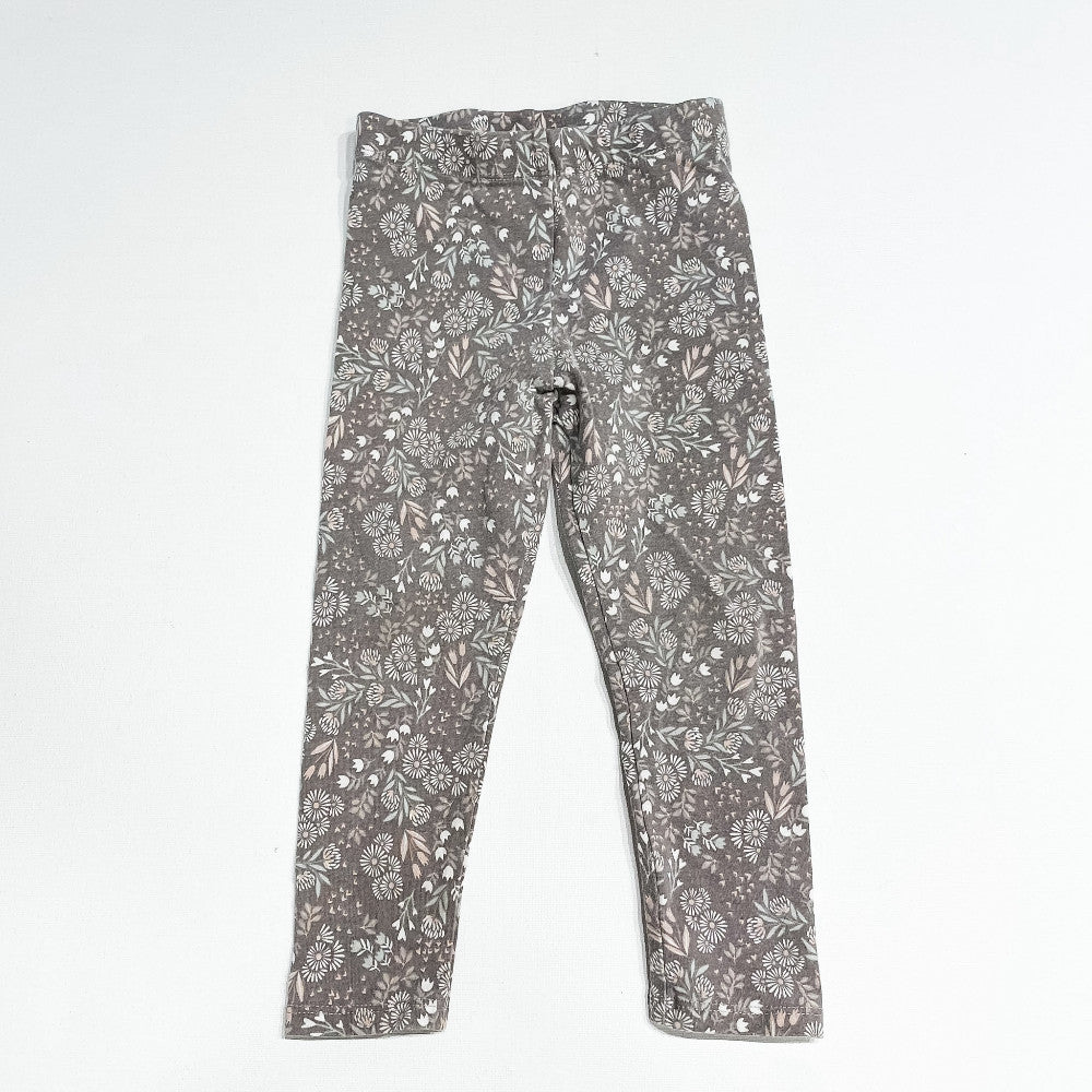 Tahari Pants 24M|234778
