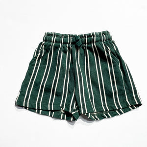 Zara Shorts 2Y|225006