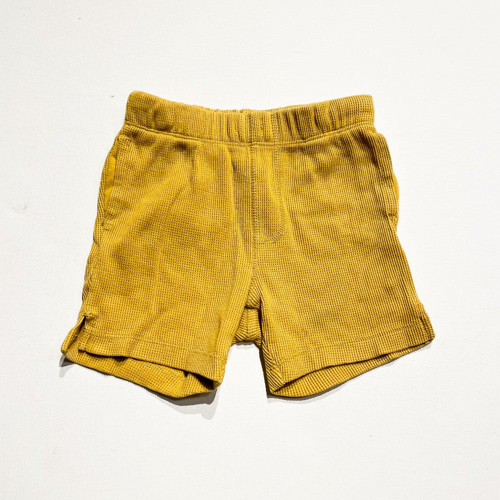 Old Navy Shorts 18-24M|231529