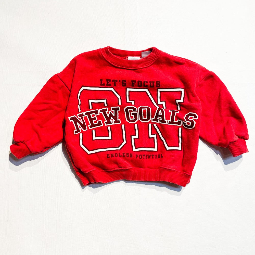 Zara Sweatshirt 2-3Y (Fits More Like 12-18M)|172432