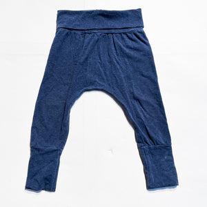 Petit Lem Pants 2Y|174592