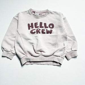 Zara Sweatshirt 5Y|210484