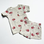 Carters Set 2Y|210851