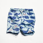 Boden Shorts 12-18M|224506