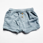 Carters Shorts 18M|200965