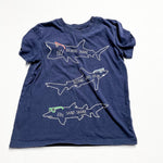 Andy & Even Shirt 7Y|229993