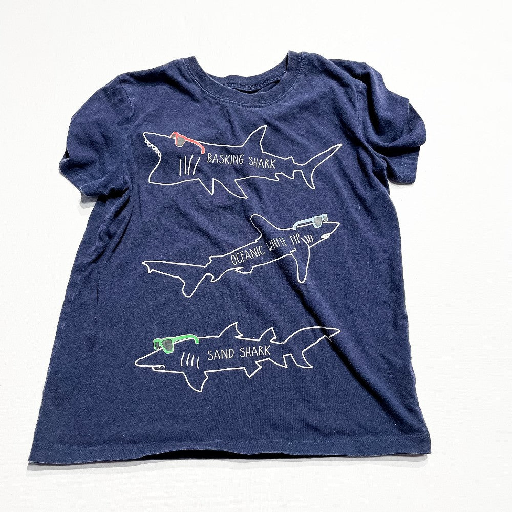 Andy & Even Shirt 7Y|229993
