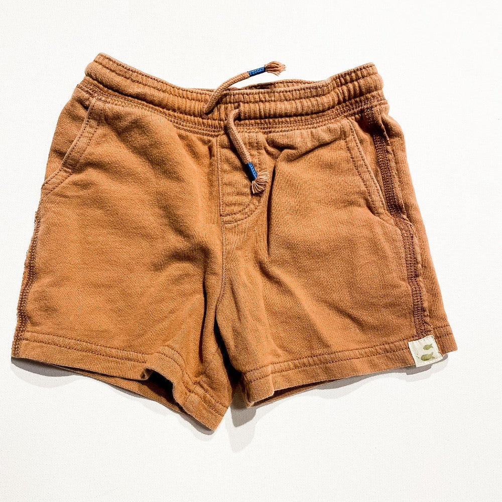 Carters Shorts 24M|215379