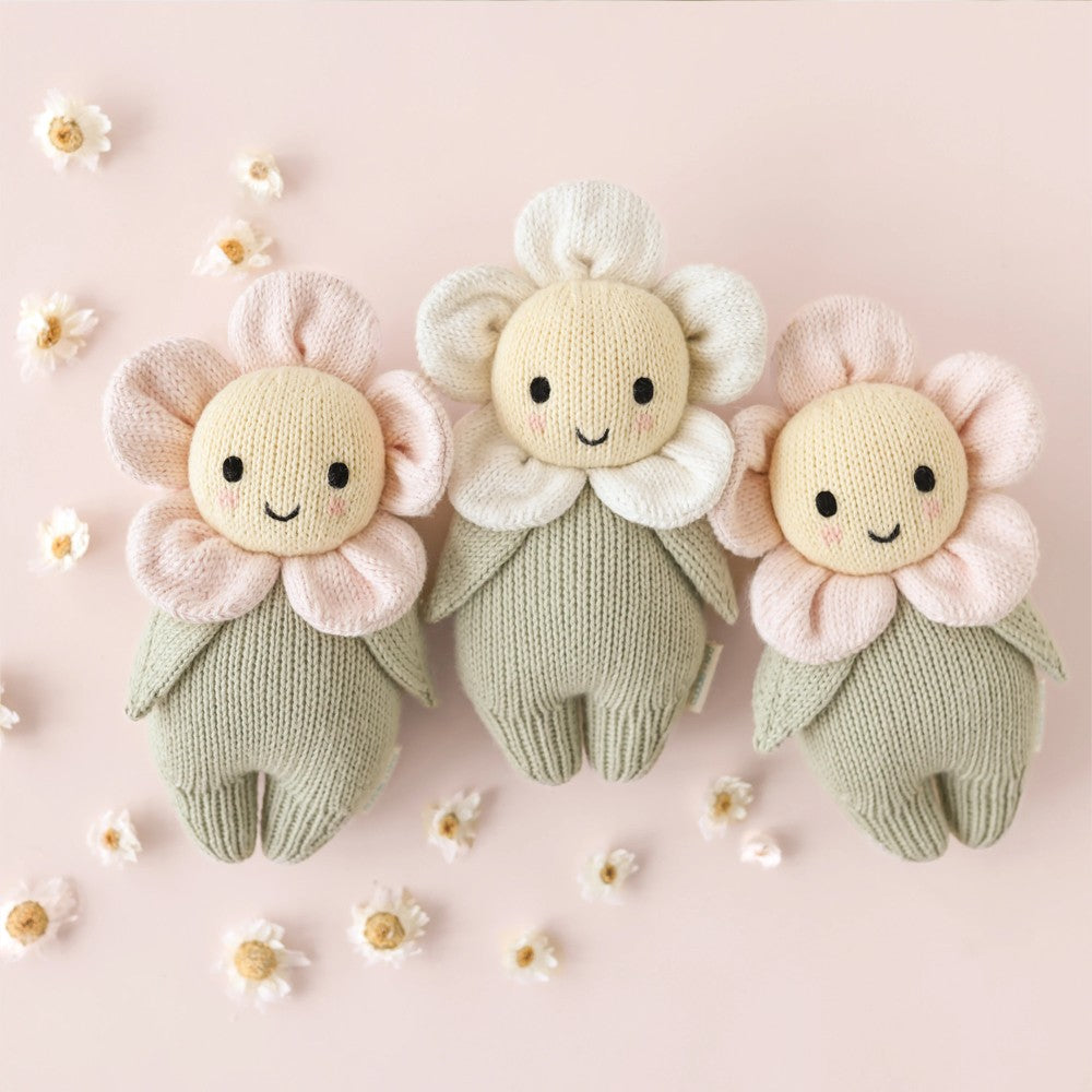 Cuddle & Kind - Baby Daisy (ivory), Give 5 Meals|155853