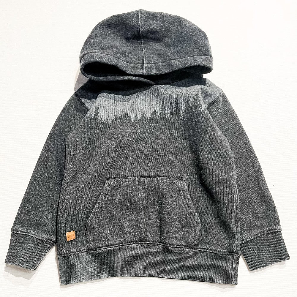 Tentree Hoodie 4Y|221355