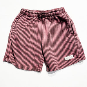 Zara Shorts 6Y|229094